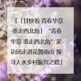 「甘快看·青春华章·重走西北角」“青春华章·重走西北角”采访团走进花舞南山 探寻天水乡村振兴之路