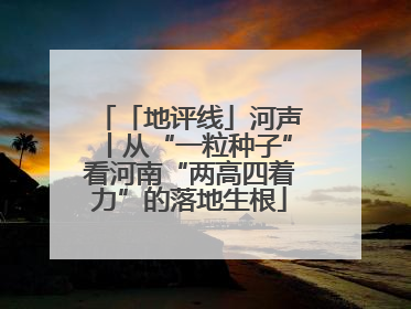 「地评线」河声丨从“一粒种子”看河南“两高四着力”的落地生根