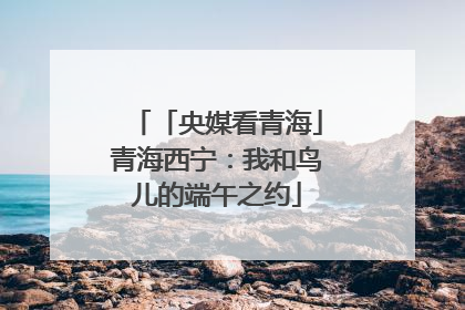 「央媒看青海」青海西宁：我和鸟儿的端午之约