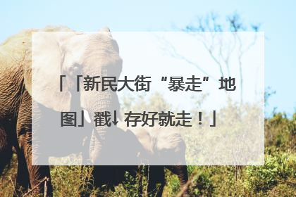「新民大街“暴走”地图」戳↓ 存好就走！