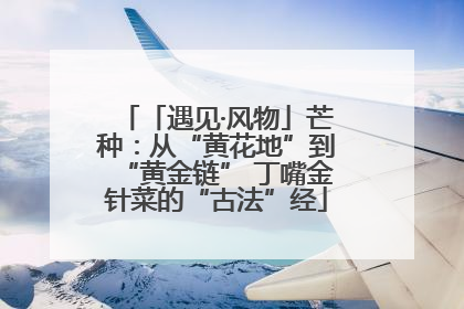 「遇见·风物」芒种：从“黄花地”到“黄金链” 丁嘴金针菜的“古法”经