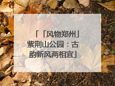 「风物郑州」紫荆山公园：古韵新风两相宜