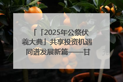 「2025年公祭伏羲大典」共享投资机遇 同谱发展新篇——甘肃省文旅产业链招商引资推介会侧记