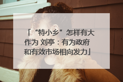 “特小乡”怎样有大作为 刘亭：有为政府和有效市场相向发力