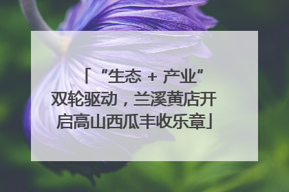“生态 + 产业”双轮驱动，兰溪黄店开启高山西瓜丰收乐章
