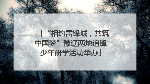 “相约雷锋城，共筑中国梦”豫辽两地追锋少年研学活动举办