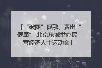 “破圈”促融、赛出“健康” 北京东城举办民营经济人士运动会