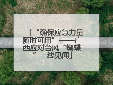 “确保应急力量随时可用”——广西应对台风“蝴蝶”一线见闻