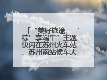“美好旅途、‘粽’享端午”主题快闪在苏州火车站、苏州南站候车大厅上演