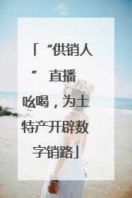 “供销人” 直播 吆喝，为土特产开辟数字销路