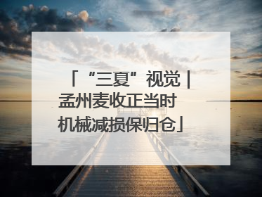 “三夏”视觉｜孟州麦收正当时 机械减损保归仓