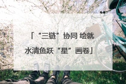 “三链”协同 绘就水清鱼跃“星”画卷