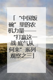 “中国饭碗”里的农机力量——“打赢这一战 底气从何来”系列观察之三