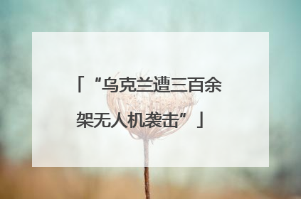“乌克兰遭三百余架无人机袭击”