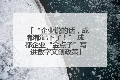 “企业说的话，成都都记下了！” 成都企业“金点子”写进数字文创政策