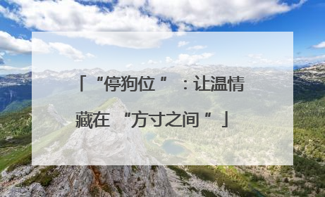 “停狗位 ”：让温情藏在 “方寸之间 ”