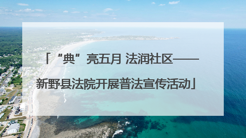 “典”亮五月 法润社区——新野县法院开展普法宣传活动