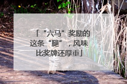 “六马”奖励的这条“腿”，风味比奖牌还厚重