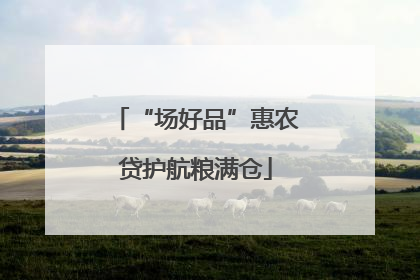 “场好品”惠农贷护航粮满仓
