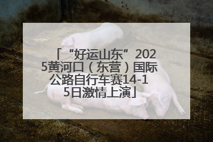 “好运山东”2025黄河口（东营）国际公路自行车赛14-15日激情上演