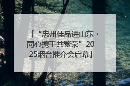 “忠州佳品进山东・同心携手共繁荣”2025烟台推介会启幕
