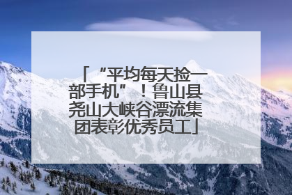 “平均每天捡一部手机”！鲁山县尧山大峡谷漂流集团表彰优秀员工