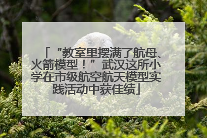 “教室里摆满了航母、火箭模型！”武汉这所小学在市级航空航天模型实践活动中获佳绩