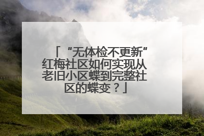“无体检不更新”红梅社区如何实现从老旧小区蝶到完整社区的蝶变？