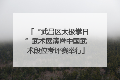 “武昌区太极拳日”武术展演暨中国武术段位考评赛举行