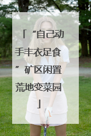 “自己动手丰衣足食”矿区闲置荒地变菜园