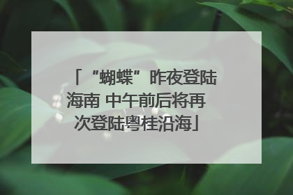 “蝴蝶”昨夜登陆海南 中午前后将再次登陆粤桂沿海