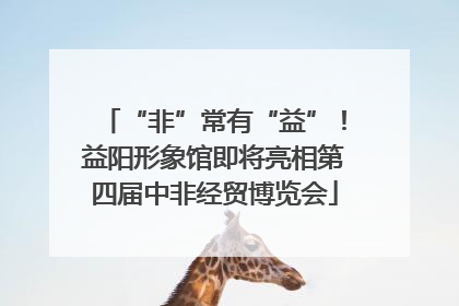 “非”常有“益”！益阳形象馆即将亮相第四届中非经贸博览会