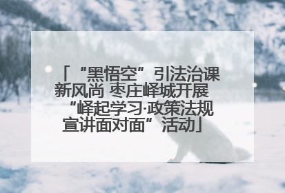 “黑悟空”引法治课新风尚 枣庄峄城开展“峄起学习·政策法规宣讲面对面”活动