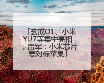 玄戒O1、小米YU7等集中亮相，雷军：小米芯片要对标苹果