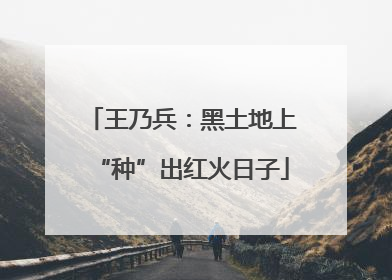 王乃兵：黑土地上“种”出红火日子