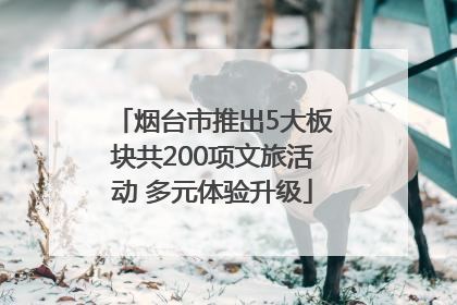 烟台市推出5大板块共200项文旅活动 多元体验升级