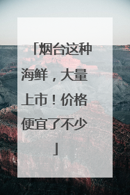 烟台这种海鲜，大量上市！价格便宜了不少