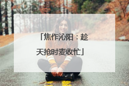 焦作沁阳：趁天抢时麦收忙
