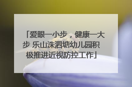 爱眼一小步，健康一大步 乐山洙泗塘幼儿园积极推进近视防控工作