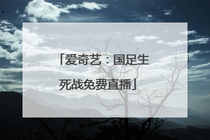 爱奇艺：国足生死战免费直播