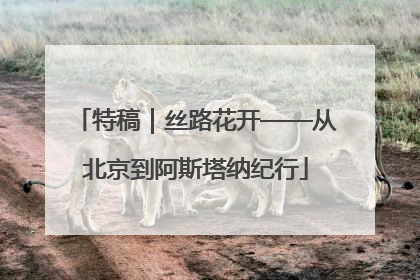 特稿｜丝路花开——从北京到阿斯塔纳纪行