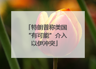 特朗普称美国“有可能”介入以伊冲突