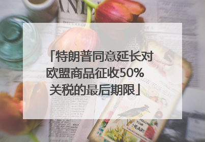 特朗普同意延长对欧盟商品征收50%关税的最后期限