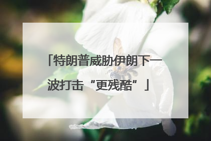特朗普威胁伊朗下一波打击“更残酷”