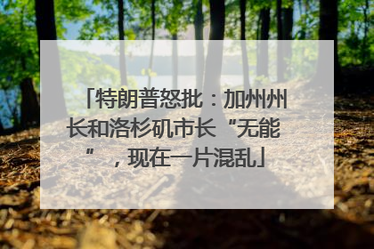 特朗普怒批：加州州长和洛杉矶市长“无能”，现在一片混乱