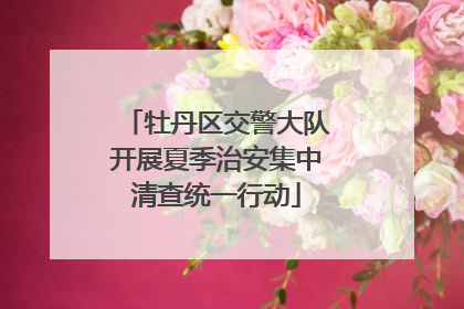 牡丹区交警大队开展夏季治安集中清查统一行动