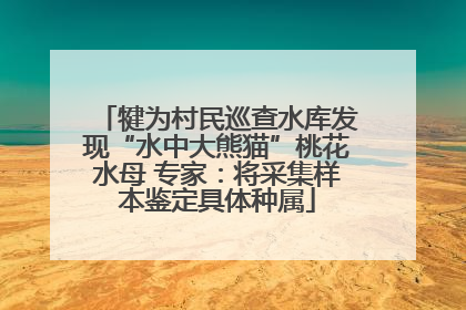 犍为村民巡查水库发现“水中大熊猫”桃花水母 专家：将采集样本鉴定具体种属
