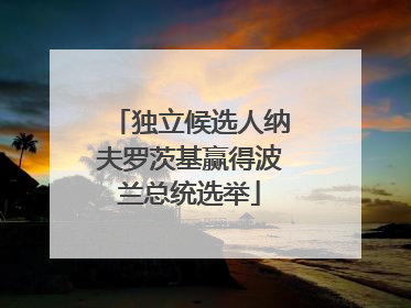 独立候选人纳夫罗茨基赢得波兰总统选举