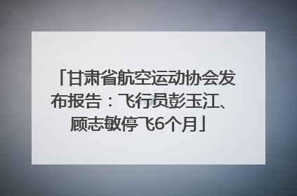 甘肃省航空运动协会发布报告：飞行员彭玉江、顾志敏停飞6个月