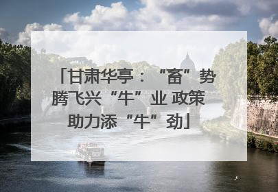 甘肃华亭：“畜”势腾飞兴“牛”业 政策助力添“牛”劲